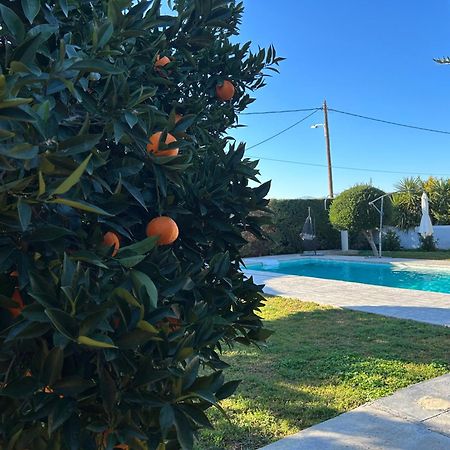 The Orange Garden Apartment Nafplio Exterior photo