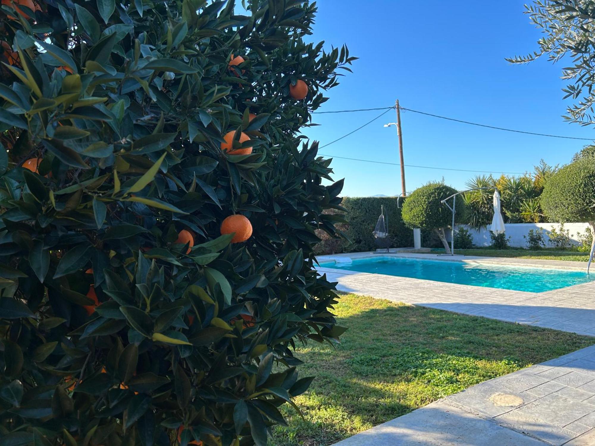 The Orange Garden Apartment Nafplio Exterior photo